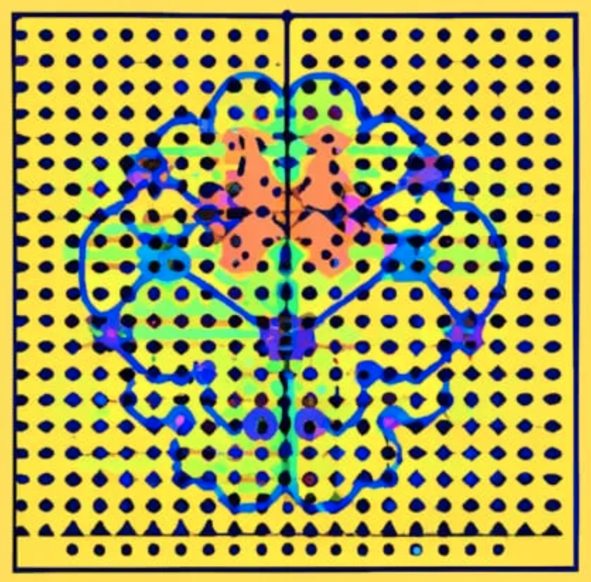 Brain and More Lab Wiki